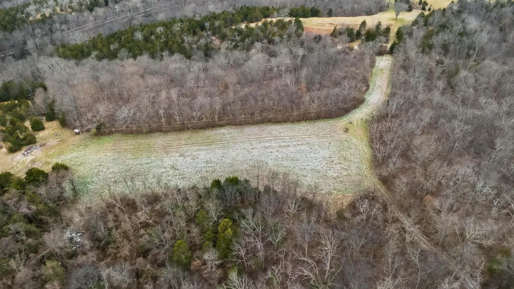 000 Hogg Ridge Road Williamstown KY 41097