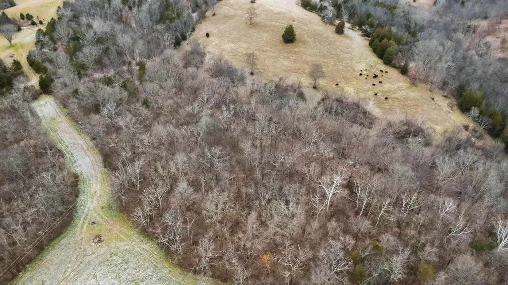000 Hogg Ridge Road Williamstown KY 41097