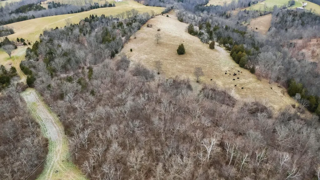 000 Hogg Ridge Road Williamstown KY 41097