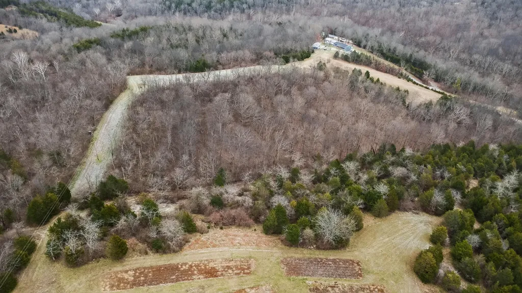 000 Hogg Ridge Road Williamstown KY 41097