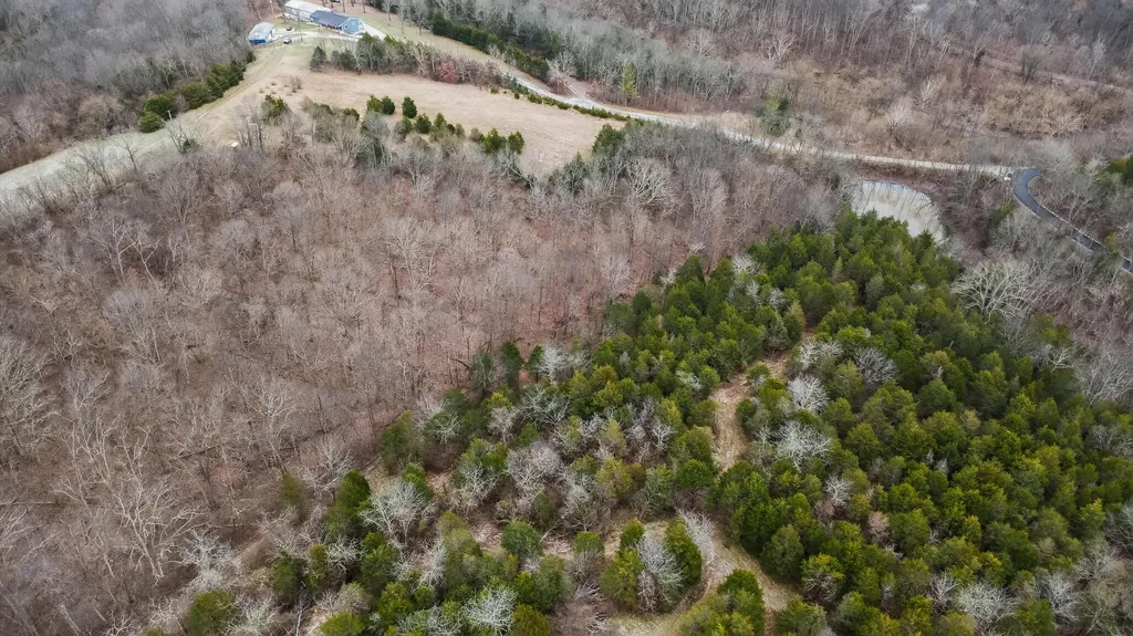 000 Hogg Ridge Road Williamstown KY 41097
