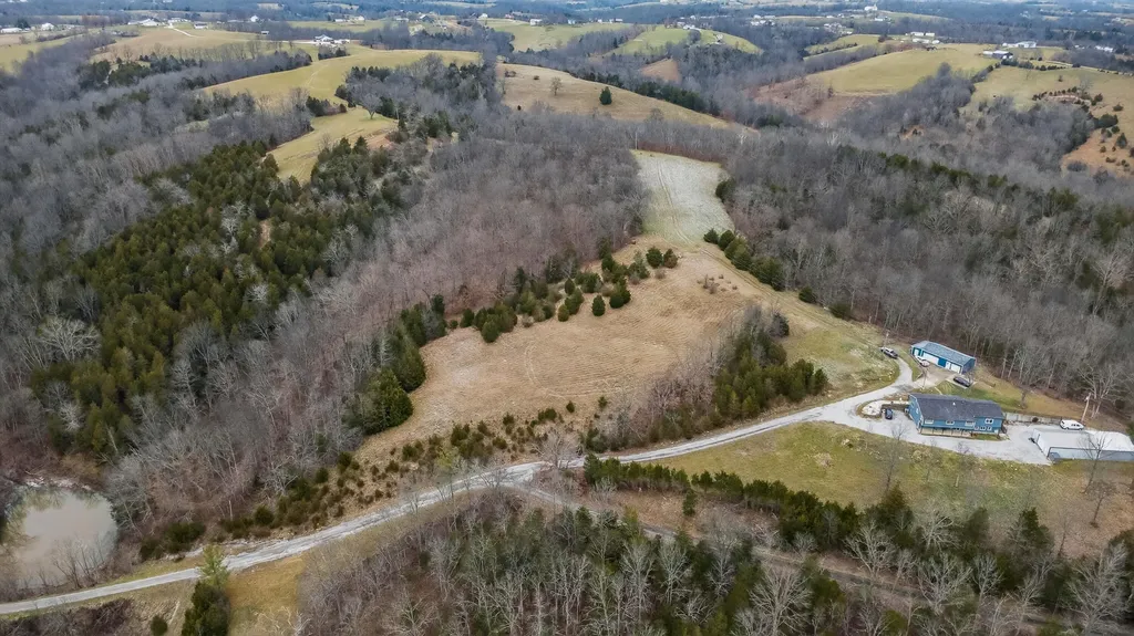 000 Hogg Ridge Road Williamstown KY 41097