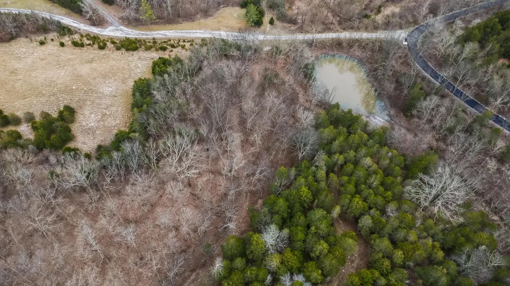000 Hogg Ridge Road Williamstown KY 41097