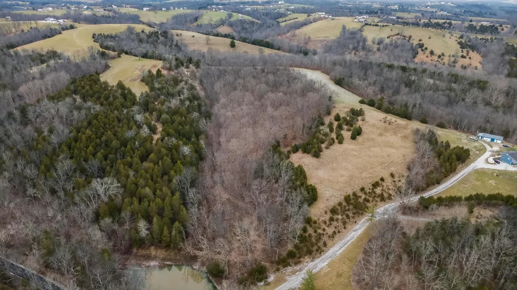 000 Hogg Ridge Road Williamstown KY 41097