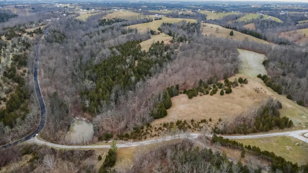 000 Hogg Ridge Road Williamstown KY 41097
