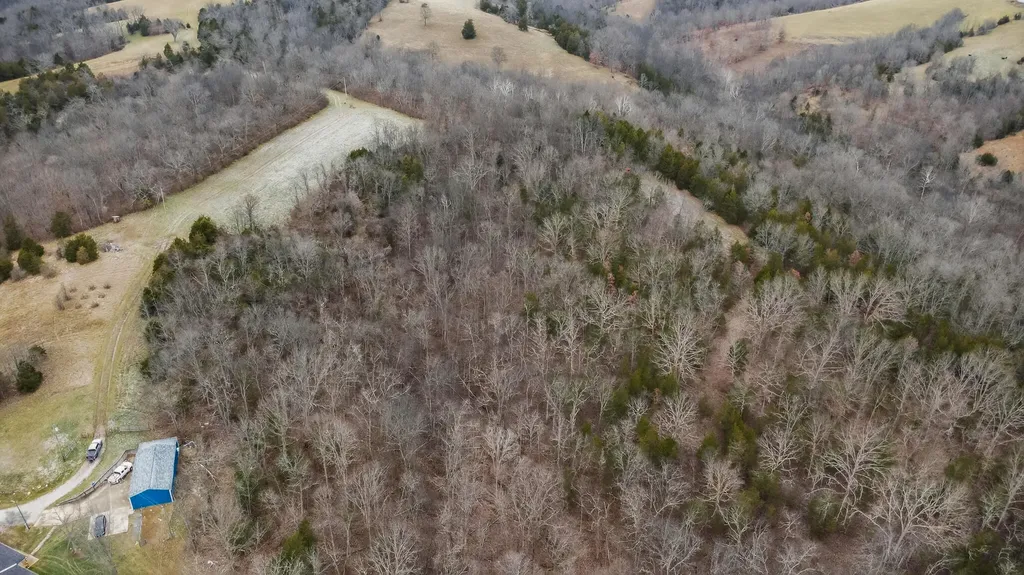 000 Hogg Ridge Road Williamstown KY 41097