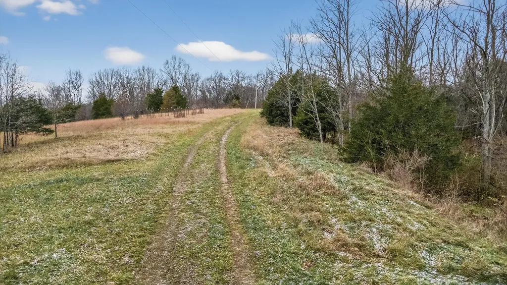 000 Hogg Ridge Road Williamstown KY 41097