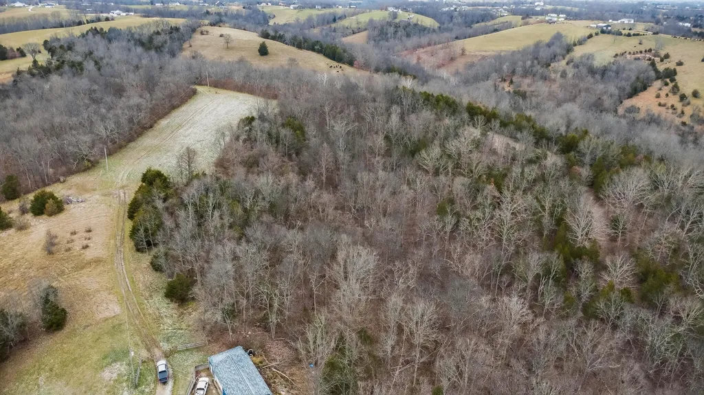 000 Hogg Ridge Road Williamstown KY 41097