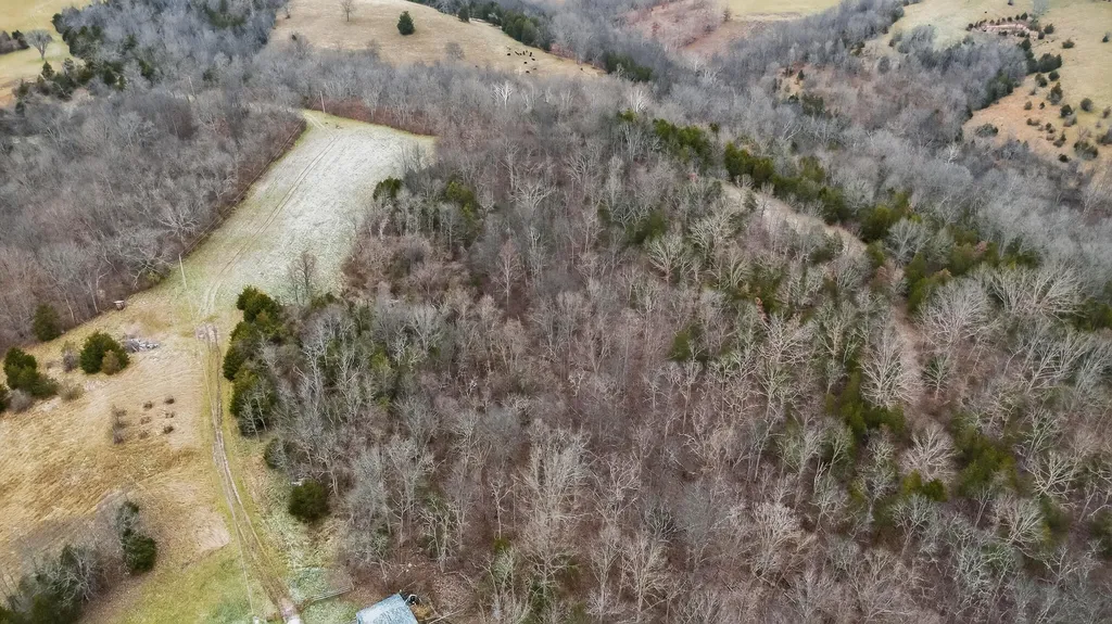 000 Hogg Ridge Road Williamstown KY 41097