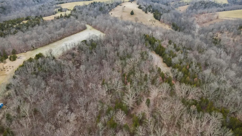 000 Hogg Ridge Road Williamstown KY 41097