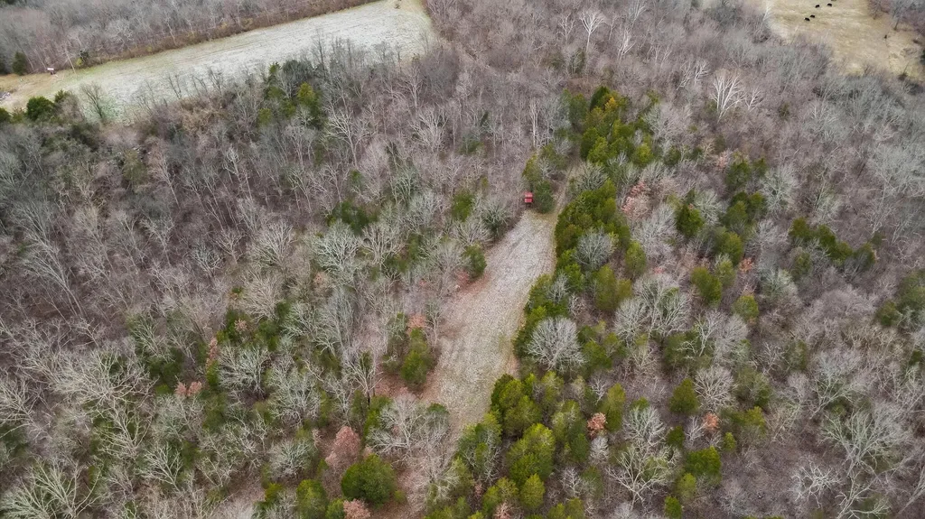 000 Hogg Ridge Road Williamstown KY 41097