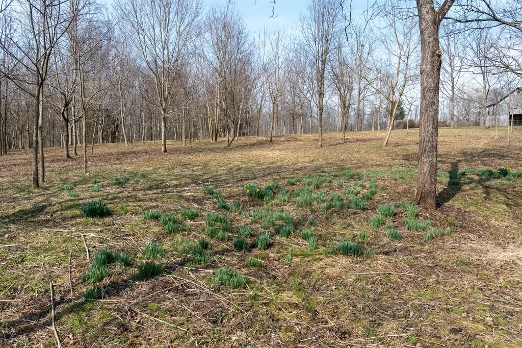 7205 Kentucky 39 Crab Orchard KY 40419