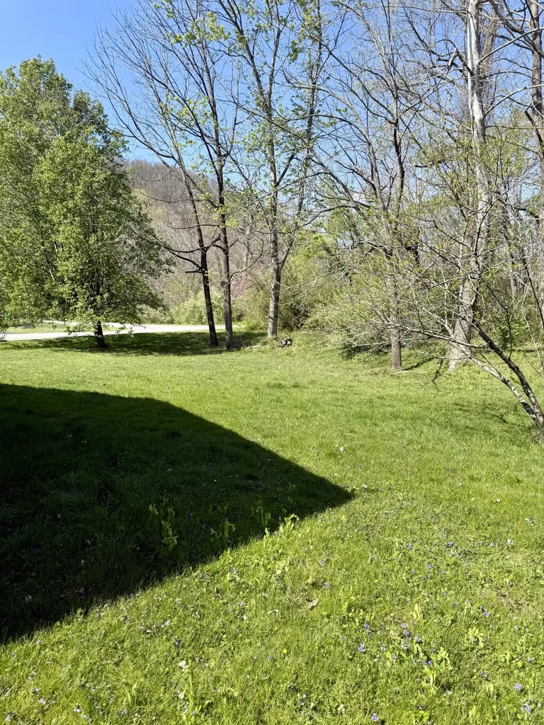 223 Maher Drive Morehead KY 40351