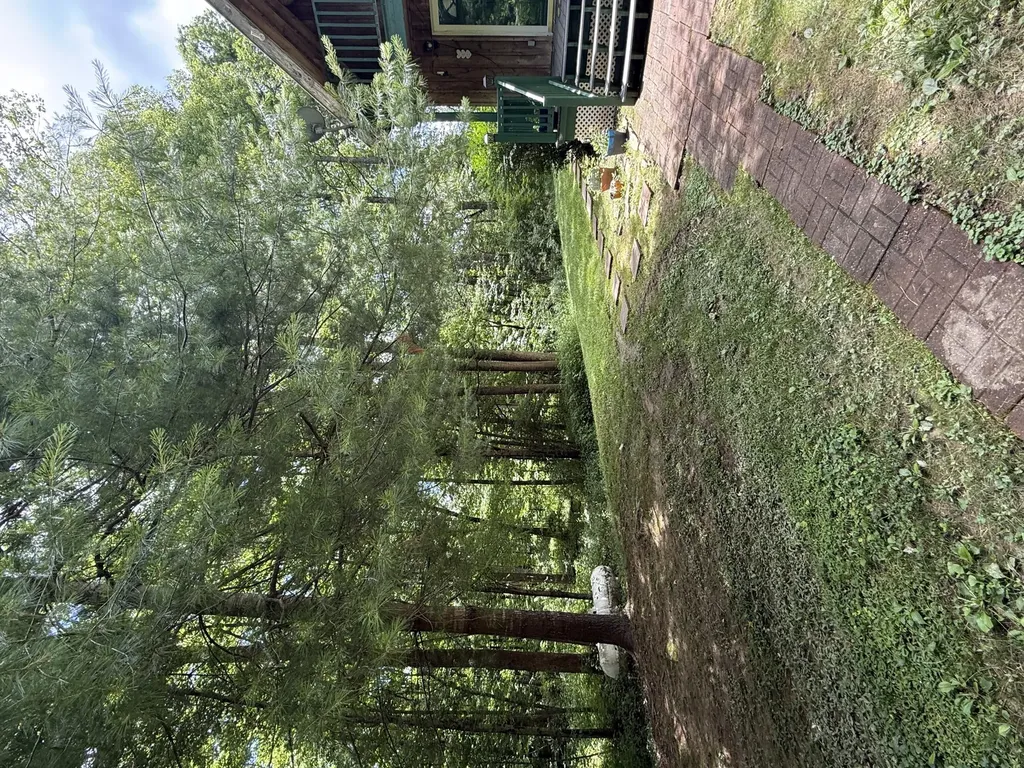 9851 Cranston Road Morehead KY 40351