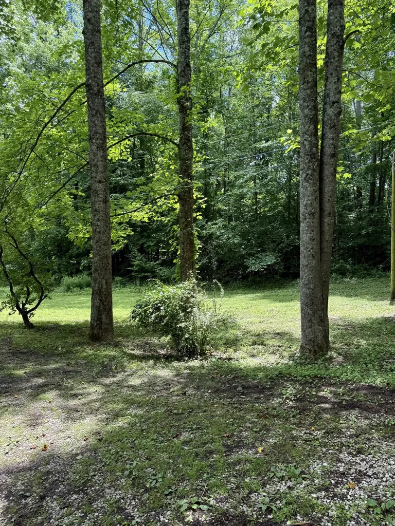 9851 Cranston Road Morehead KY 40351