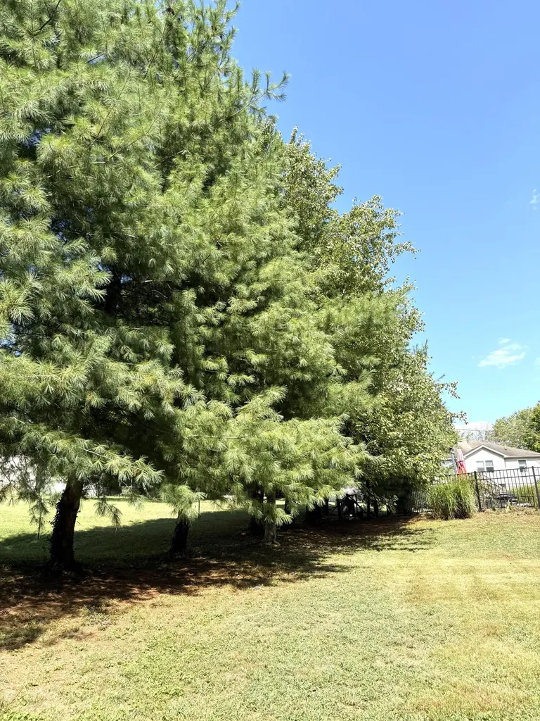 212 S Loop Drive Stanford KY 40484