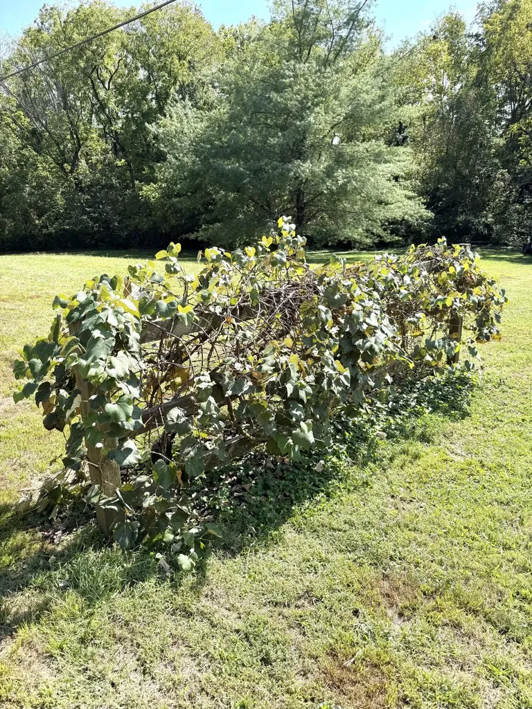 212 S Loop Drive Stanford KY 40484