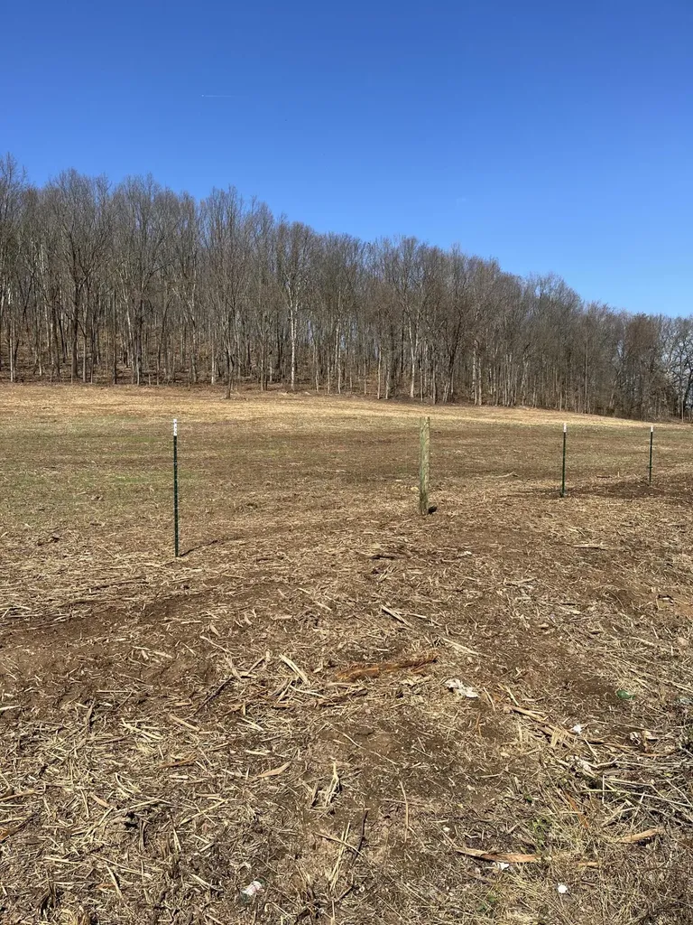 9999 Pergram Road Owingsville KY 40360