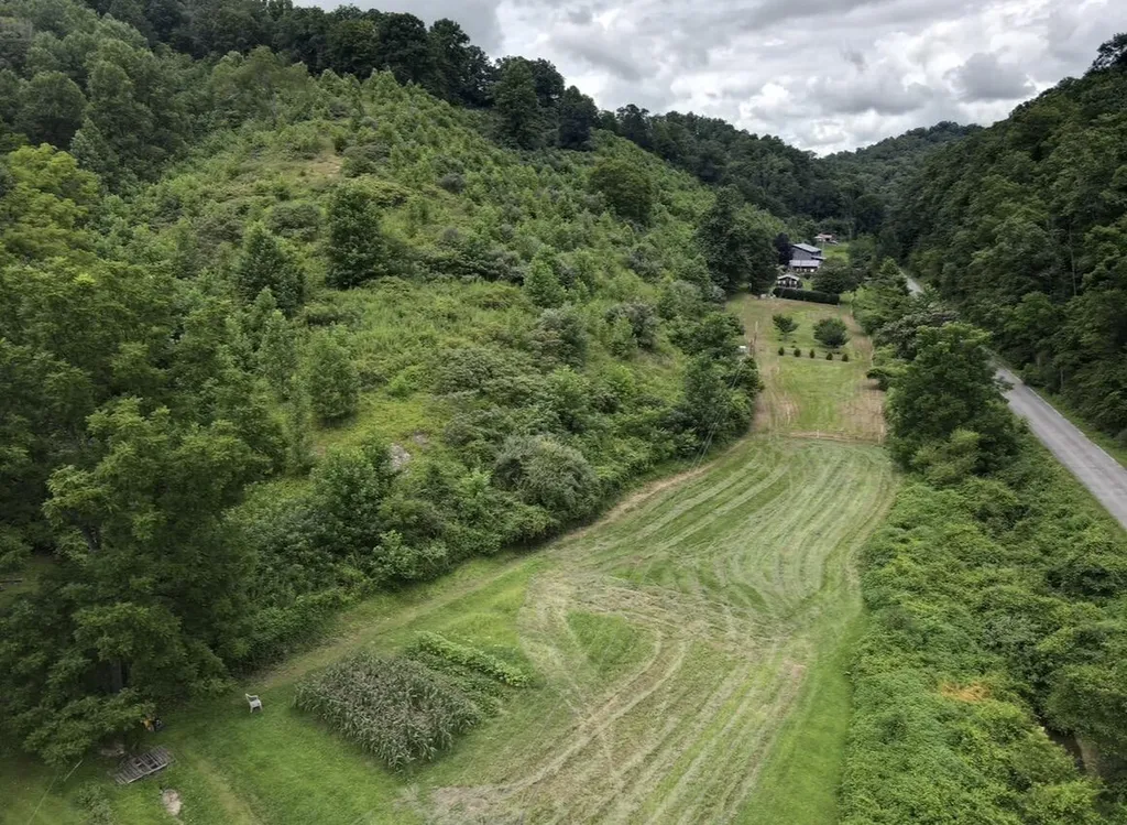 1267 Lower Taulbee Fork Road Vancleve KY 41385