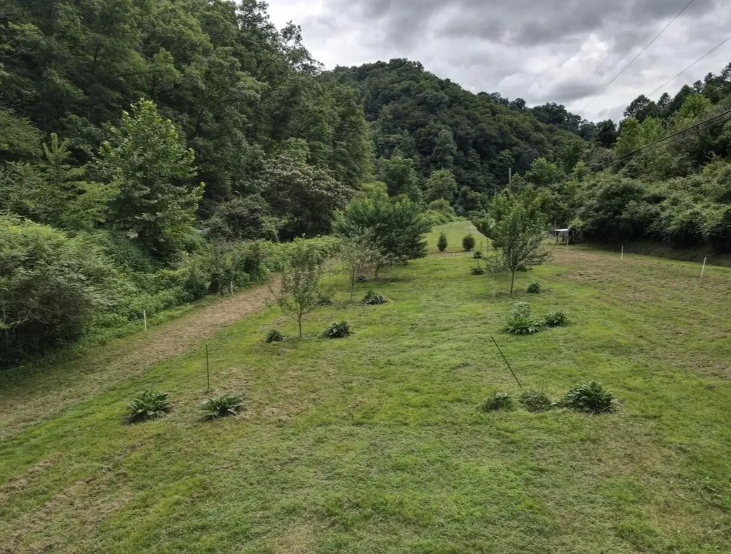 1267 Lower Taulbee Fork Road Vancleve KY 41385