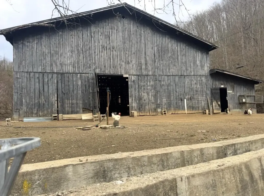 1267 Lower Taulbee Fork Road Vancleve KY 41385