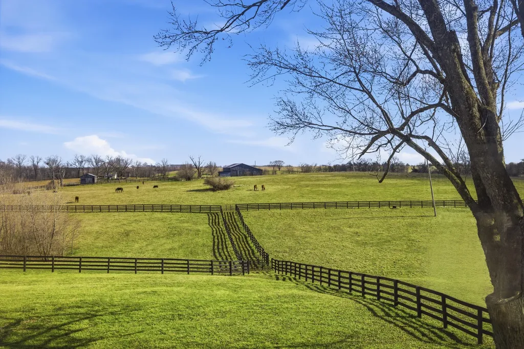 134 Shepherd Lane Cynthiana KY 41031