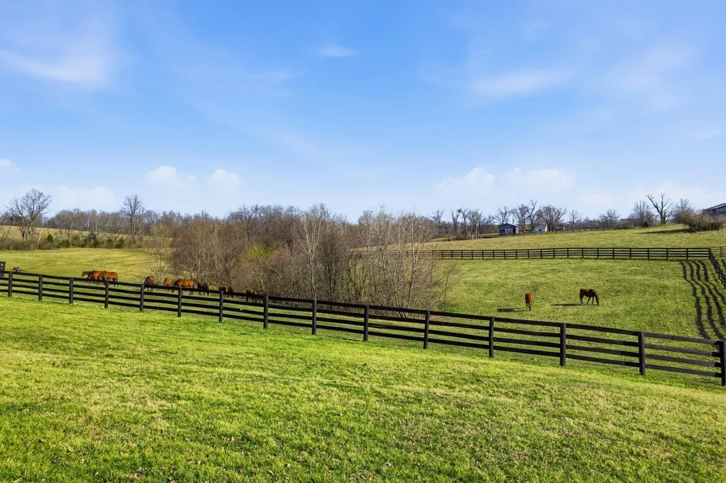 134 Shepherd Lane Cynthiana KY 41031