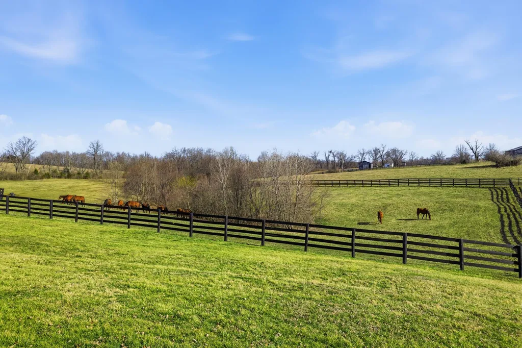 134 Shepherd Lane Cynthiana KY 41031