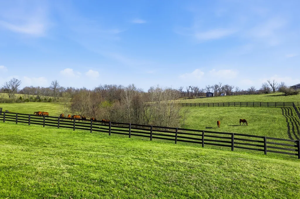 134 Shepherd Lane Cynthiana KY 41031