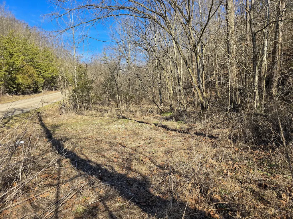 Tracts 1b 1g 1f 545 Carman Creek Road Kings Mountain KY 40442