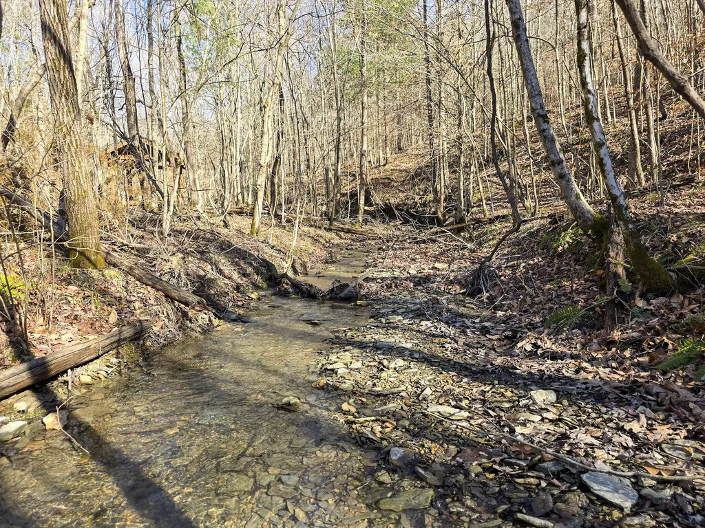 Tracts 1b 1g 1f 545 Carman Creek Road Kings Mountain KY 40442