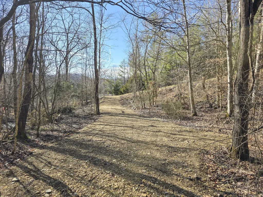 Tracts 1b 1g 1f 545 Carman Creek Road Kings Mountain KY 40442