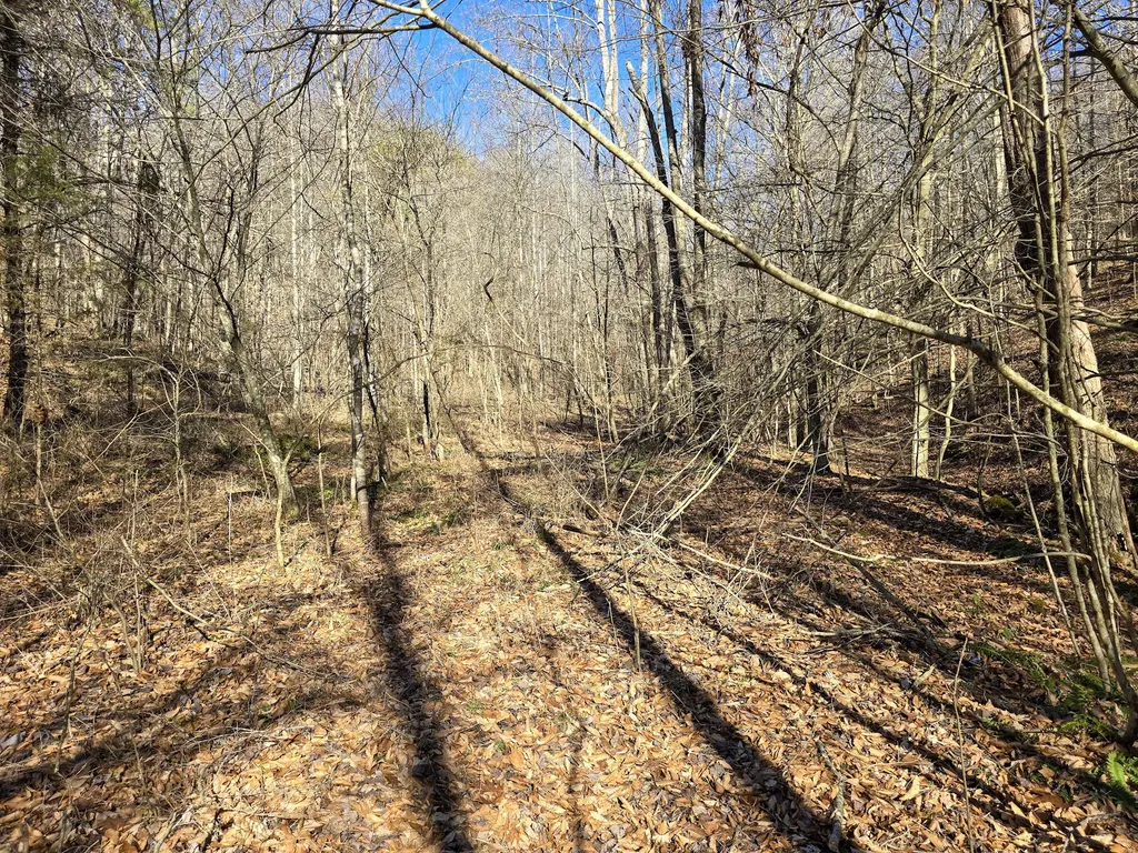 Tracts 1b 1g 1f 545 Carman Creek Road Kings Mountain KY 40442