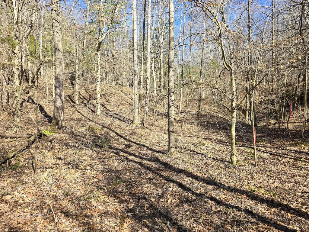 Tracts 1b 1g 1f 545 Carman Creek Road Kings Mountain KY 40442