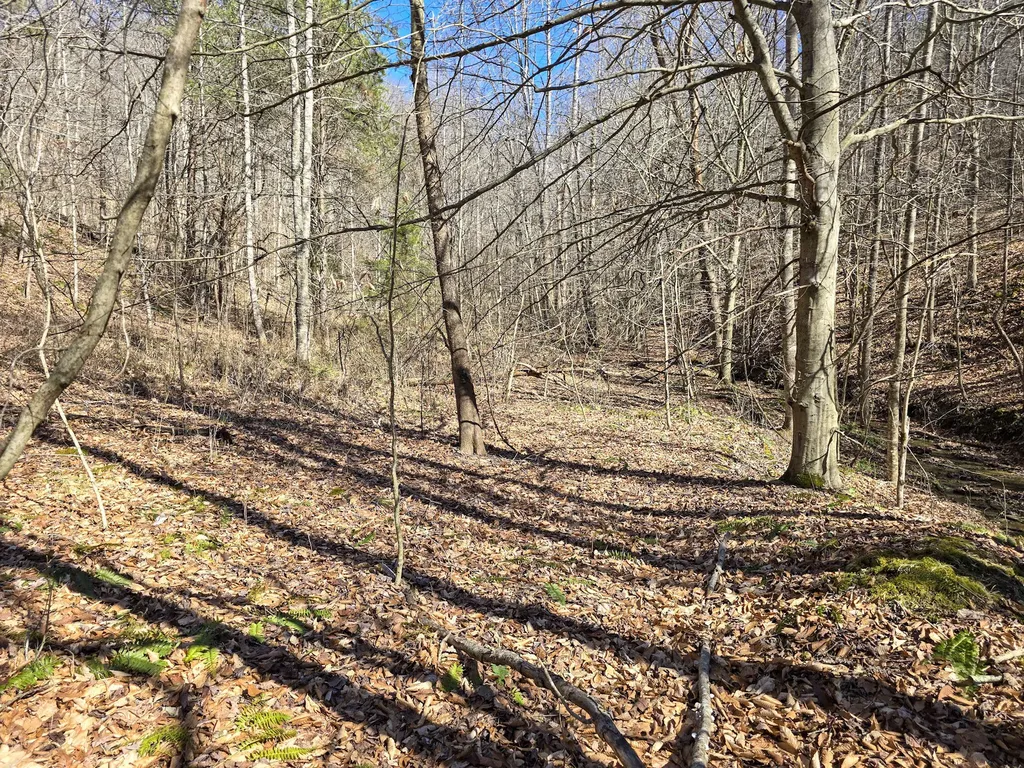 Tracts 1b 1g 1f 545 Carman Creek Road Kings Mountain KY 40442