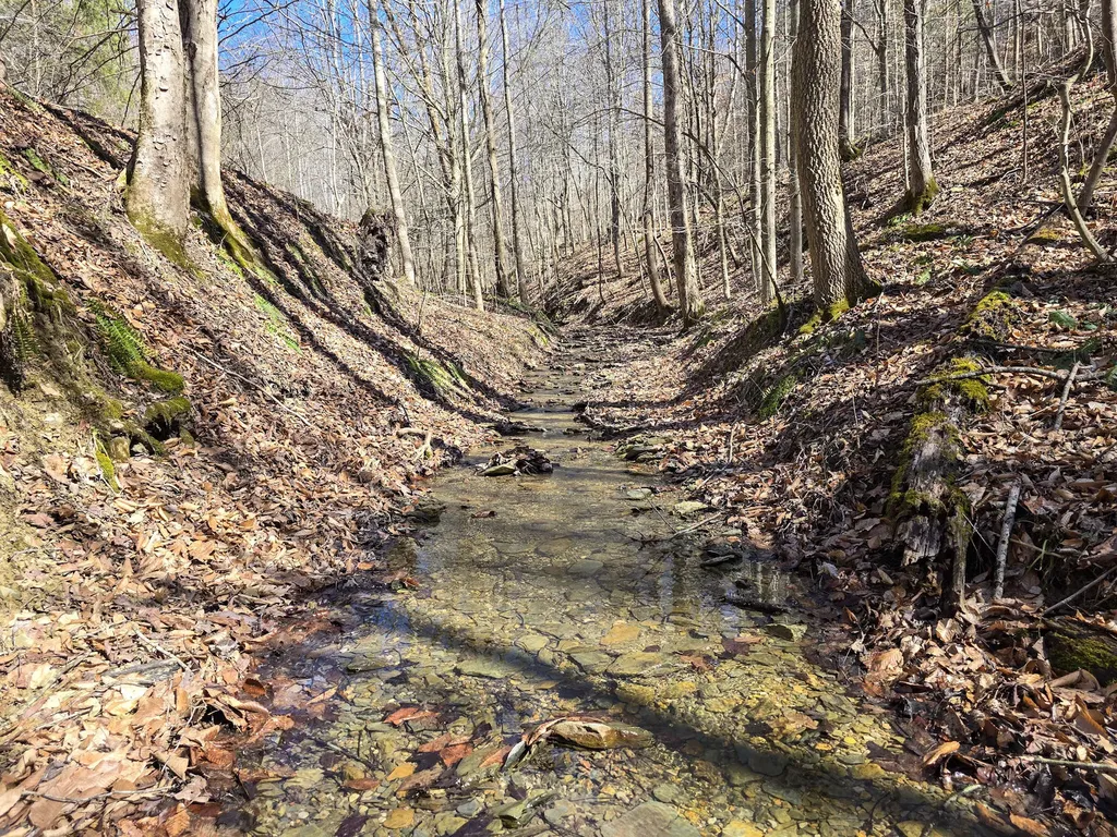 Tracts 1b 1g 1f 545 Carman Creek Road Kings Mountain KY 40442