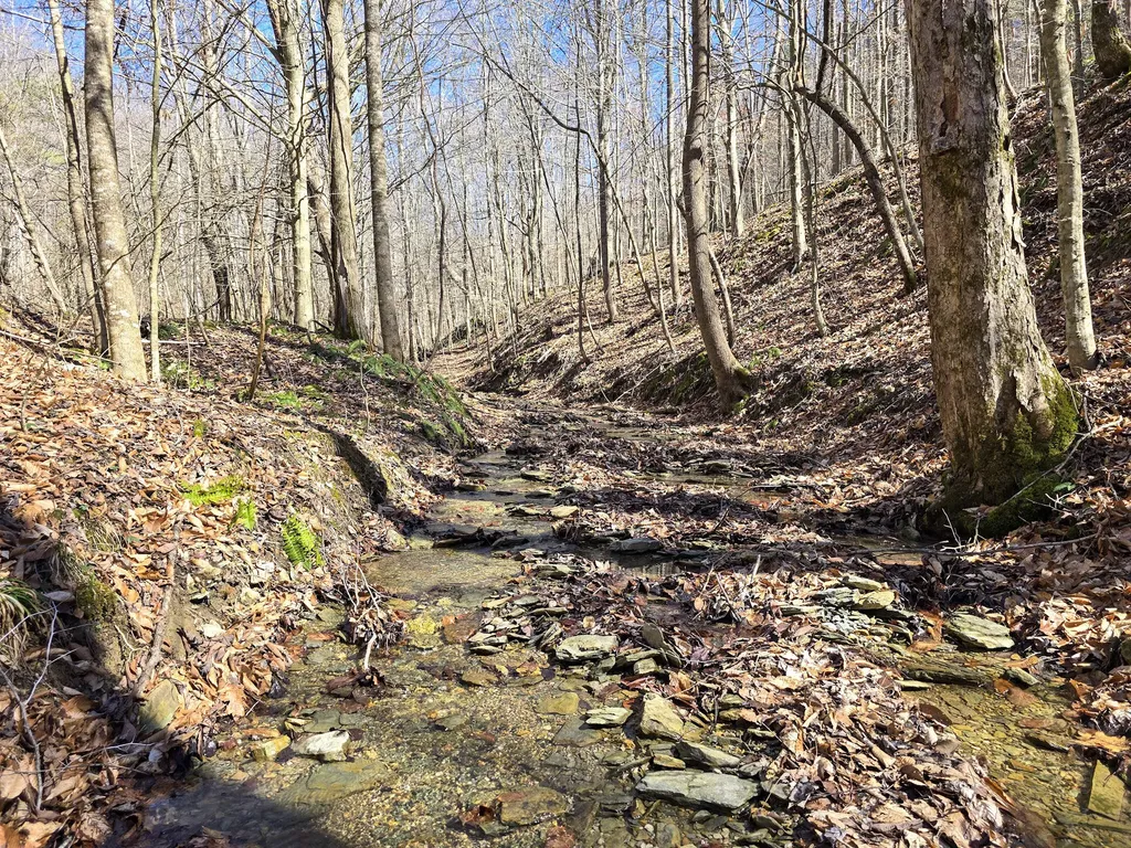 Tracts 1b 1g 1f 545 Carman Creek Road Kings Mountain KY 40442