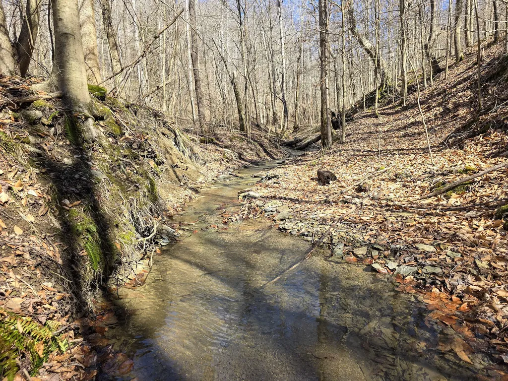 Tracts 1b 1g 1f 545 Carman Creek Road Kings Mountain KY 40442