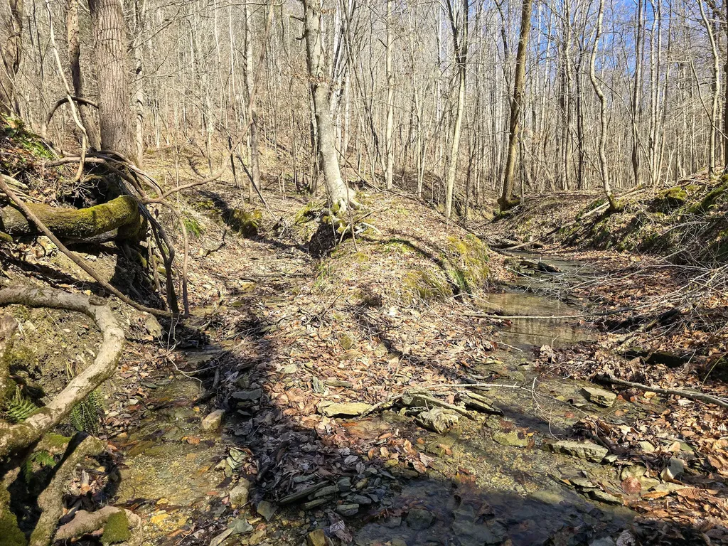 Tracts 1b 1g 1f 545 Carman Creek Road Kings Mountain KY 40442