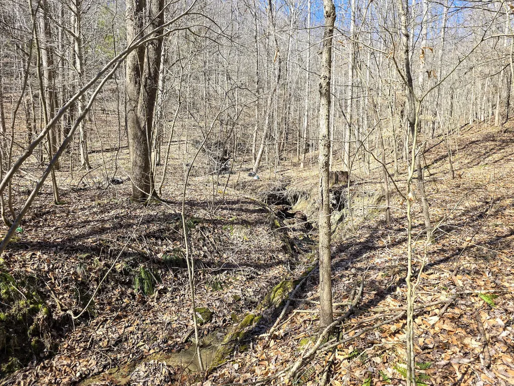 Tracts 1b 1g 1f 545 Carman Creek Road Kings Mountain KY 40442