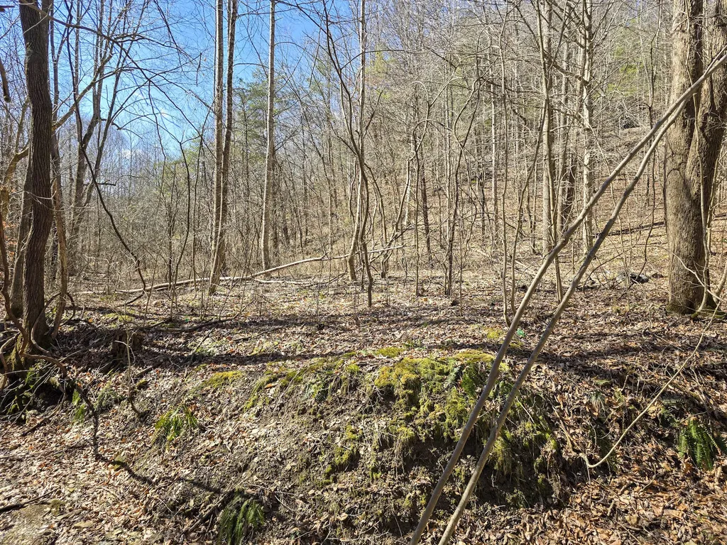 Tracts 1b 1g 1f 545 Carman Creek Road Kings Mountain KY 40442