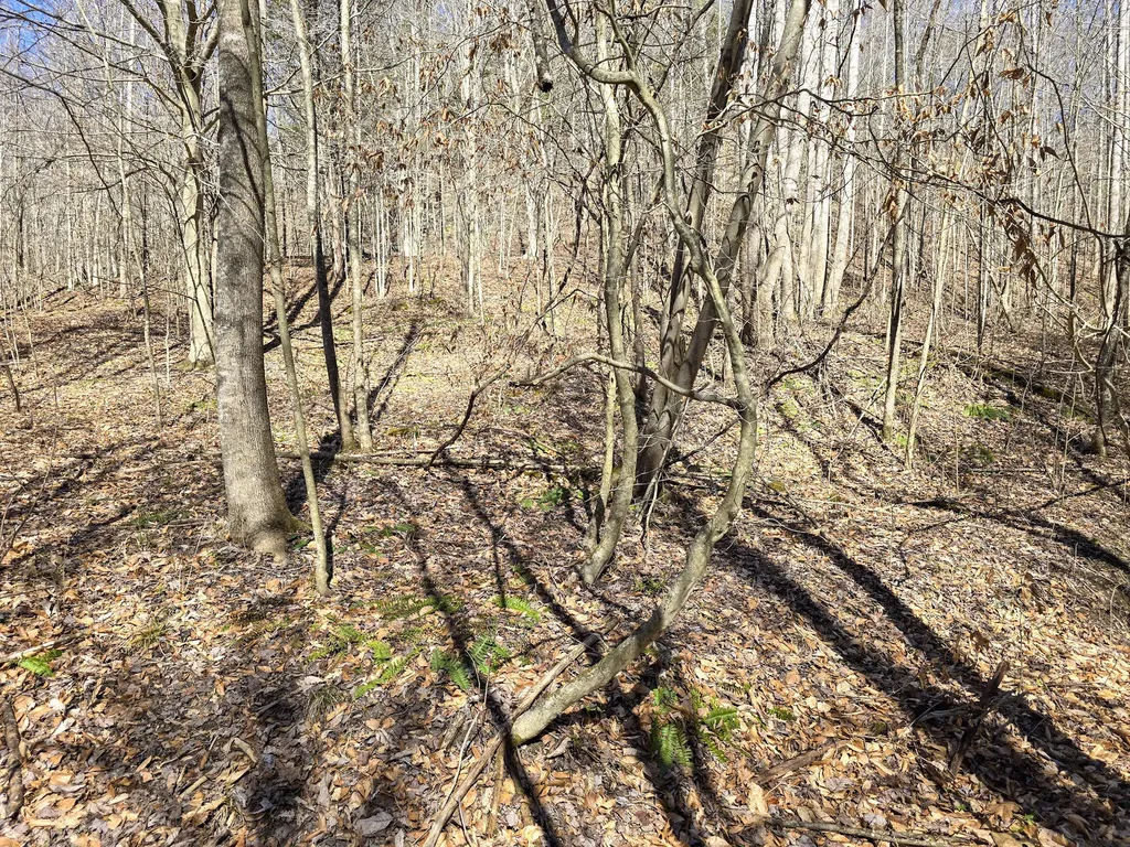 Tracts 1b 1g 1f 545 Carman Creek Road Kings Mountain KY 40442