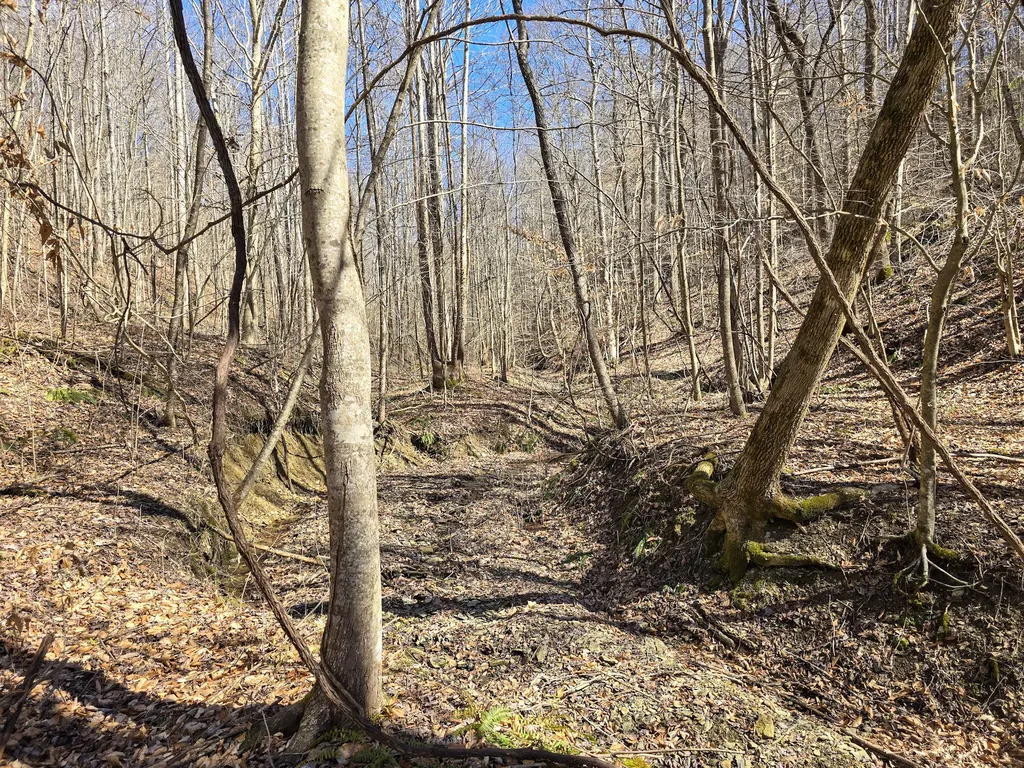 Tracts 1b 1g 1f 545 Carman Creek Road Kings Mountain KY 40442