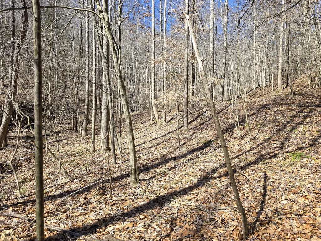 Tracts 1b 1g 1f 545 Carman Creek Road Kings Mountain KY 40442