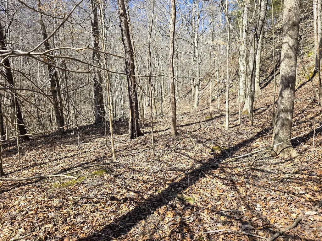 Tracts 1b 1g 1f 545 Carman Creek Road Kings Mountain KY 40442
