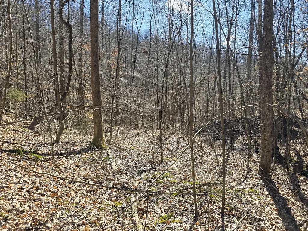 Tracts 1b 1g 1f 545 Carman Creek Road Kings Mountain KY 40442