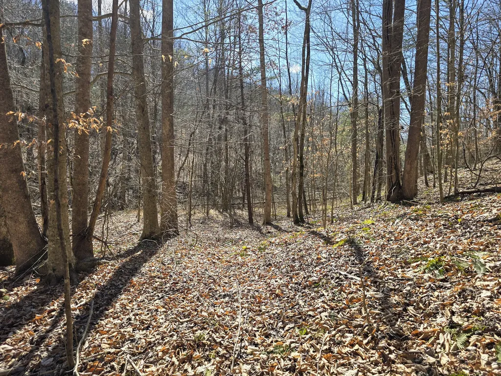 Tracts 1b 1g 1f 545 Carman Creek Road Kings Mountain KY 40442