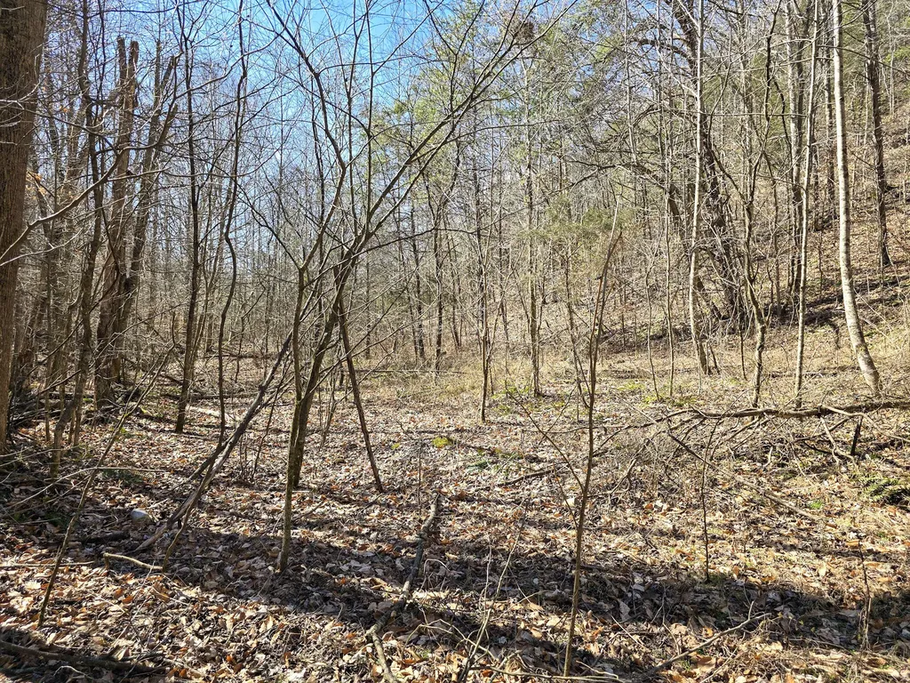 Tracts 1b 1g 1f 545 Carman Creek Road Kings Mountain KY 40442