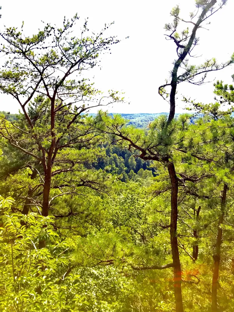 0 S Fork Road Stanton KY 40380
