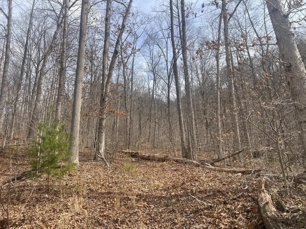 1470 Hopkins Fork Pikeville KY 41501